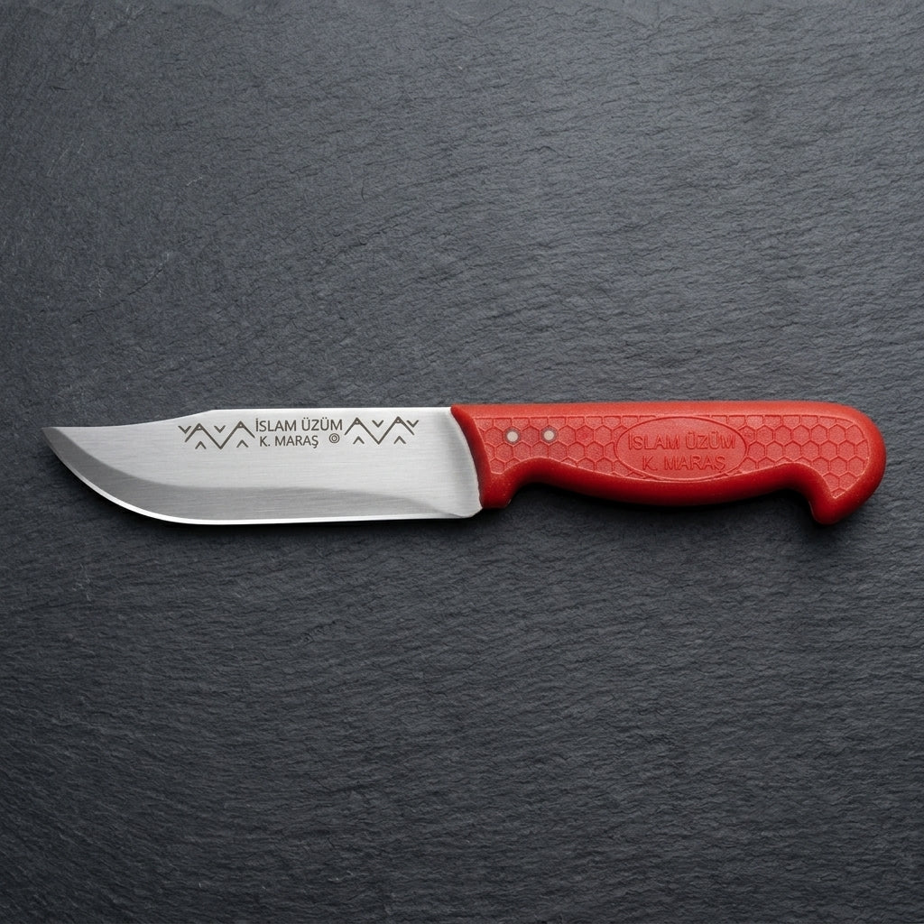🏆 Professional No. 2 Kitchen Knife - 23 cm Stainless Steel (Color Options)
