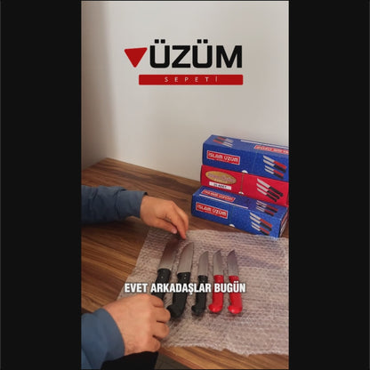 Usta Kalite 5’li Bıçak Seti Paslanmaz Çelik Ultra Keskin Ergonomik Saplı Kargo Ücretsiz