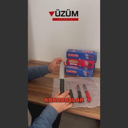 Usta Kalite 4’lü Bıçak Seti Paslanmaz Çelik Ultra Keskin Ergonomik Saplı Kargo Ücretsiz